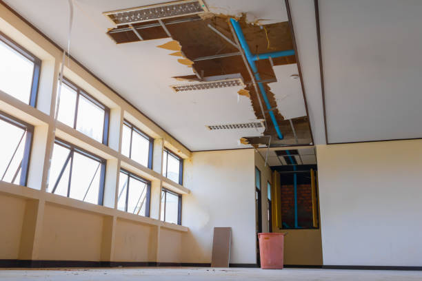 Best Carpet water damage restoration  in Eatons Neck, NY