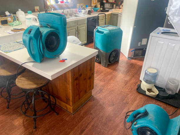 Best Water damage mitigation services  in Eatons Neck, NY