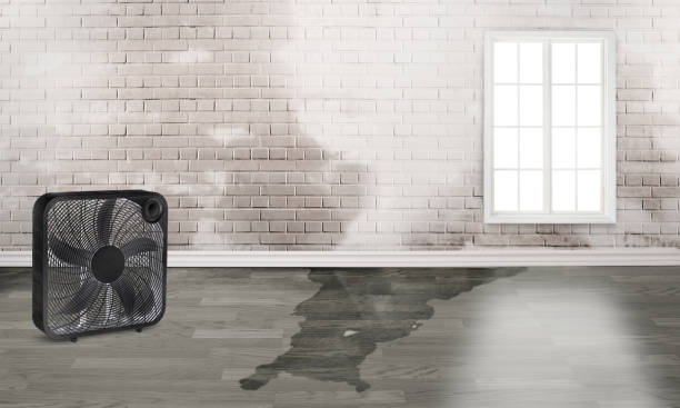 Best Residential water damage restoration  in Eatons Neck, NY