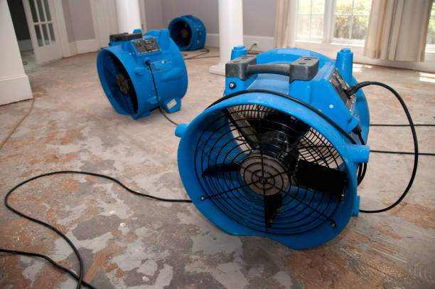 Best Water damage restoration mold remediation  in Eatons Neck, NY