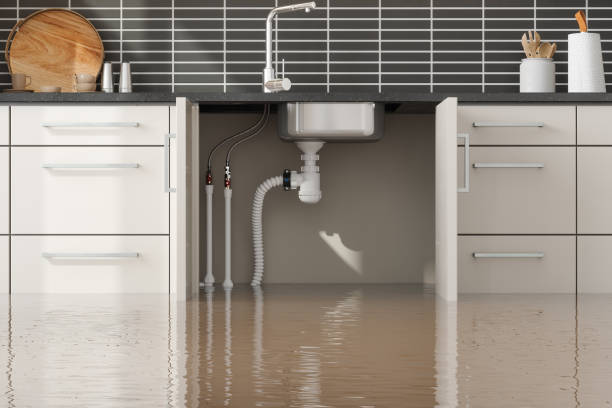 Trusted Eatons Neck, NY Water damage restoration Experts