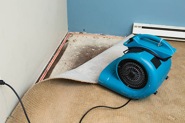 Best Emergency water damage restoration  in Eatons Neck, NY